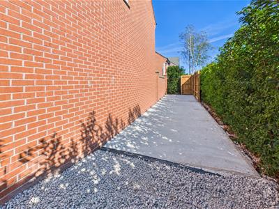 Picture 24